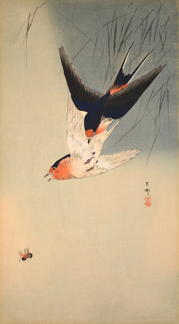 Two Swallows Aiming for Bee by Koson, Woodblock Print