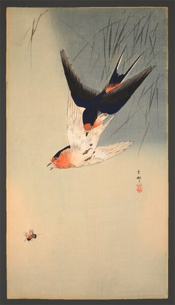 Two Swallows Aiming for Bee by Koson, Woodblock Print