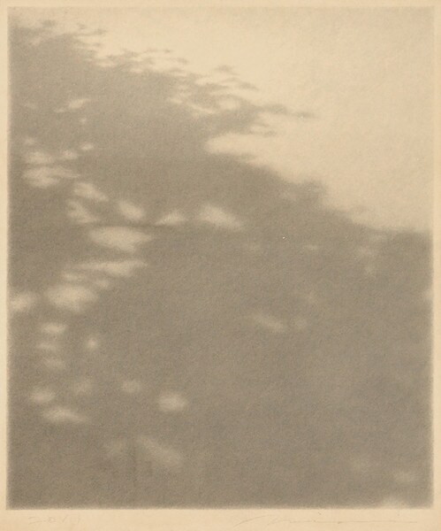 Sympathy by Minami, Masahiko, Drawing