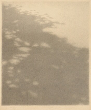 Sympathy by Minami, Masahiko, Drawing