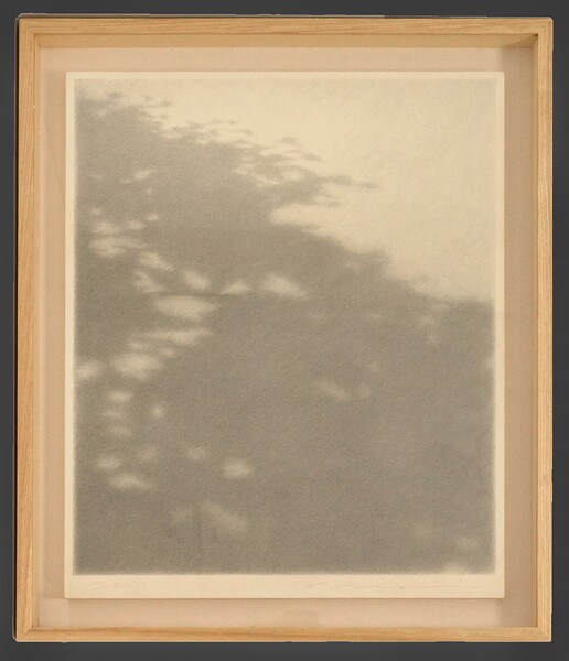 Sympathy by Minami, Masahiko, Drawing