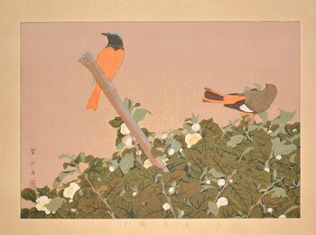 Tea Flowers and Daurian Redstarts (Winter) by Rakusan (Rakuzan), Woodblock Print