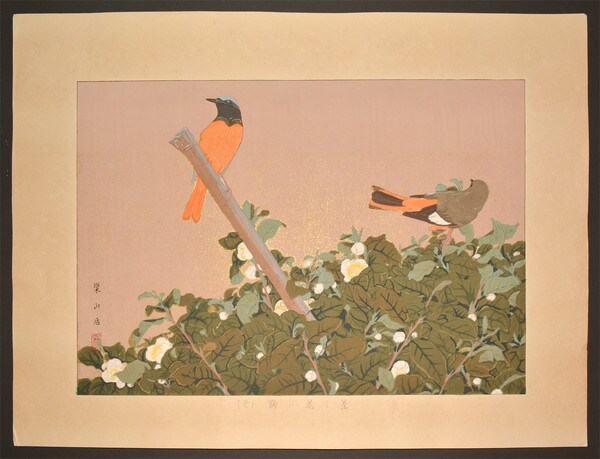 Tea Flowers and Daurian Redstarts (Winter) by Rakusan (Rakuzan), Woodblock Print