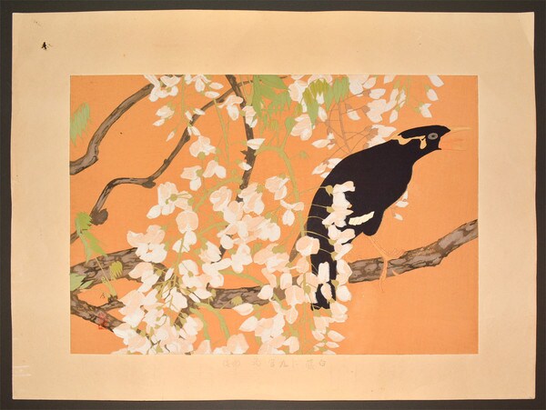 White Wisteria and Hill Myna (Late Spring) by Rakusan (Rakuzan), Woodblock Print