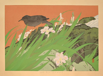 Fringed Iris Flowers and Brown Dipper (Midspring) by Rakusan (Rakuzan), Woodblock Print