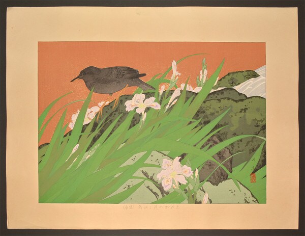 Fringed Iris Flowers and Brown Dipper (Midspring) by Rakusan (Rakuzan), Woodblock Print
