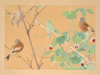 Red Pea and Oriental Greenfinches (Late Spring) by Rakusan (Rakuzan), Woodblock Print