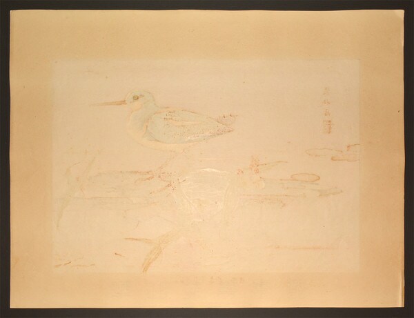 Arrowhead and Painted Snipe (Midsummer) by Rakusan (Rakuzan), Woodblock Print