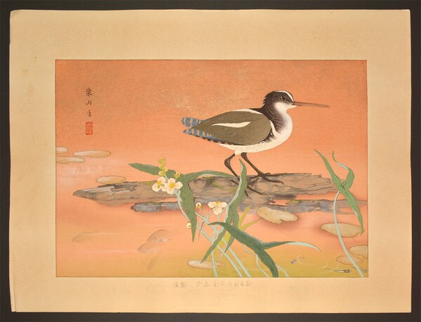 Arrowhead and Painted Snipe (Midsummer) by Rakusan (Rakuzan), Woodblock Print
