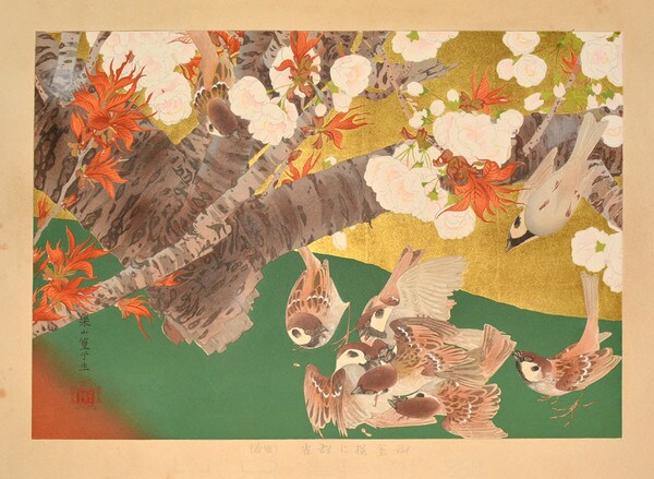 Omuro Cherry and Flock of Tree Sparrows (Midspring) by Rakusan (Rakuzan), Woodblock Print