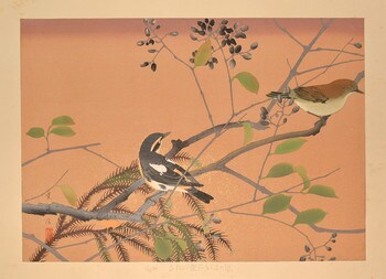 Privet and Narcissus Flycatchers (Early Spring) by Rakusan (Rakuzan), Woodblock Print