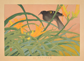Tawny Daylily and Whitewinged Widowbird (Early Summer) by Rakusan (Rakuzan), Woodblock Print