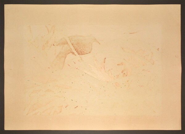 Tawny Daylily and Whitewinged Widowbird (Early Summer) by Rakusan (Rakuzan), Woodblock Print