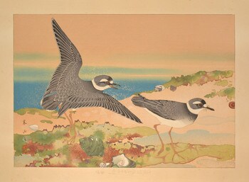 Beach at Low Tide and Longbilled Ringed Plovers (Early Spring) by Rakusan (Rakuzan), Woodblock Print