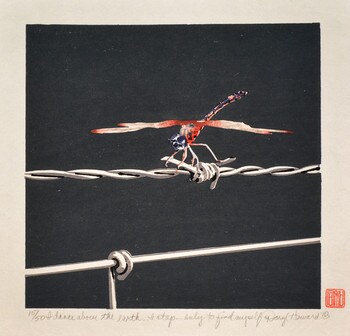 I dance above the Earth...I stop...only to find myself by Howard, Daryl, Woodblock Print