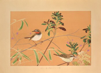 Beautyberry and Siberian Rubythroats (Winter) by Rakusan (Rakuzan), Woodblock Print