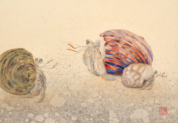 Yadokari (Hermit Crab) by Kawase, Yoshihito, Nihonga