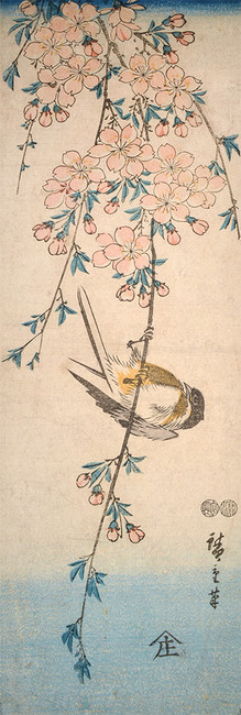 Small Bird on Trailing Cherry Branch by Hiroshige, Woodblock Print