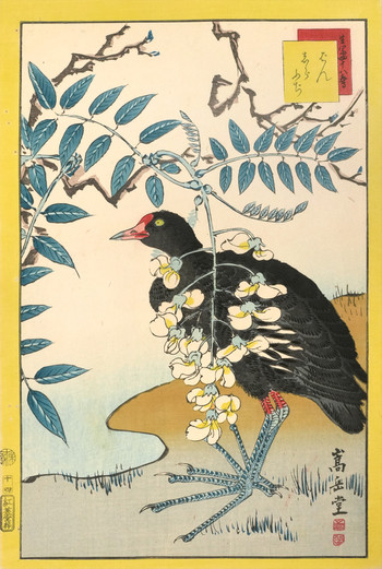 Moorhen and White Wisteria (No. 14) by Sugakudo, Woodblock Print