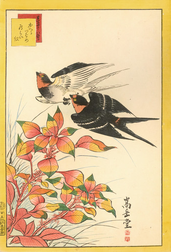 Returning Swallows and Tampala (no. 25) by Sugakudo, Woodblock Print