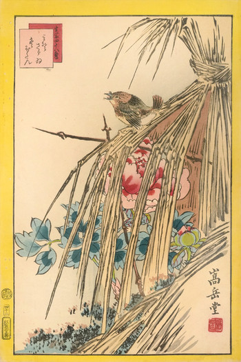 Winter Wren and Winter Peony (No.42) by Sugakudo, Woodblock Print
