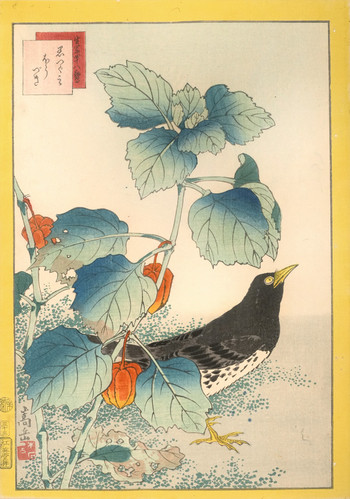 Dusty Thrush and Ground Cherry (no. 33) by Sugakudo, Woodblock Print
