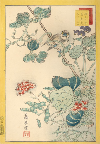 Whitecheeked Bunting, Wisteria Bean, and Wild Carnation (No. 6) by Sugakudo, Woodblock Print