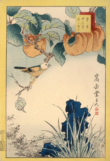 WhiteHeaded Mannikin, Apricot, and Japanese Rush (No. 20) by Sugakudo, Woodblock Print