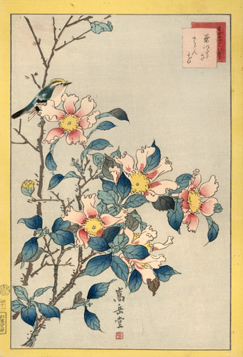 Goldcrest and Camellia (No. 41) by Sugakudo, Woodblock Print