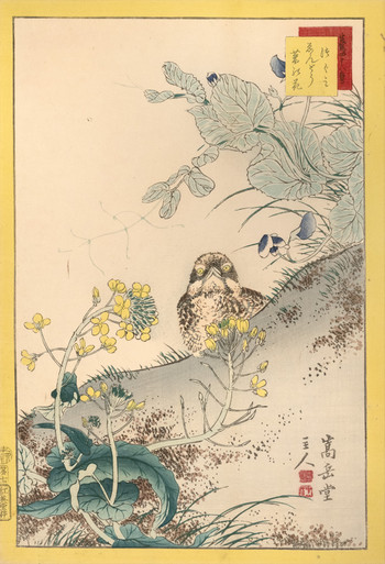 Dusky Thrush, Pea Plants, and Broccoli Flowers (No. 7) by Sugakudo, Woodblock Print