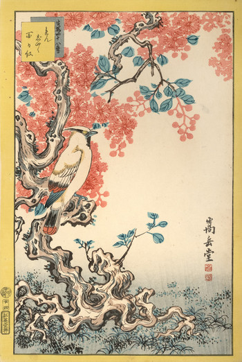Cedar Waxwing and Crape Myrtle (No. 24) by Sugakudo, Woodblock Print