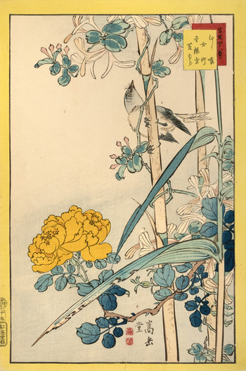 Leaf Warbler, Running Bamboo, Japanese Honeysuckle, and Yellow Rose (No. 19) by Sugakudo, Woodblock Print