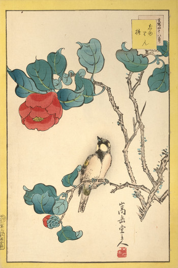 Reed Bunting and Camellia (No. 3) by Sugakudo, Woodblock Print