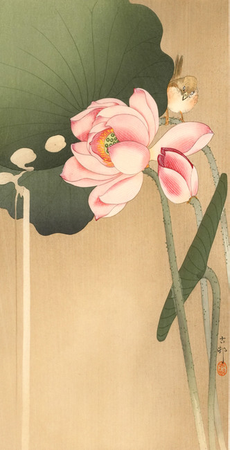 Lotus and Sparrow (Reprint) by Koson, Woodblock Print