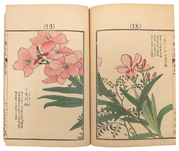 Chigusa no Hana (A Thousand Kinds of Flowers), Volumes II, III & IV by Bairei, Ehon