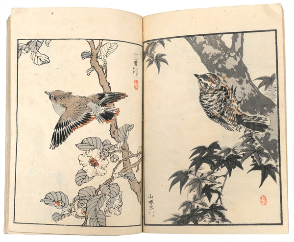 Bairei Album of One Hundred Birds (Bairei Hyakucho Gafu), Volume 3 by Bairei, Ehon