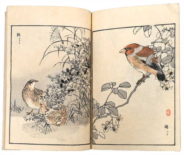 Bairei Album of One Hundred Birds (Bairei Hyakucho Gafu), Volume 3 by Bairei, Ehon