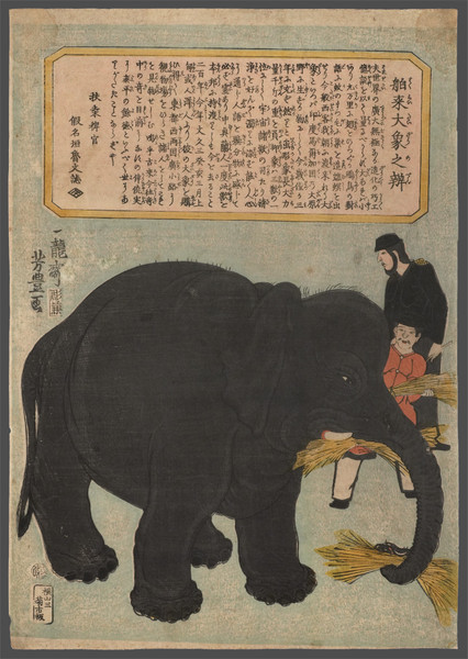 Imported Great Elephant by Yoshitoyo, Woodblock Print