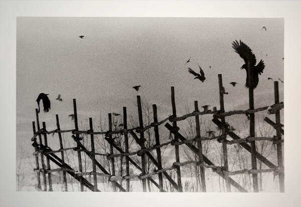 Modern Master of Photography: Japan | Complete Collection, Photography