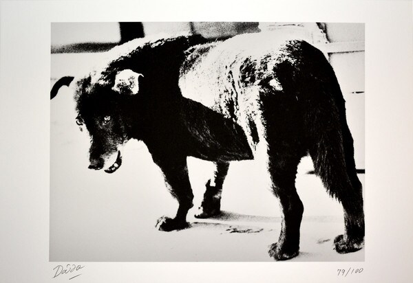 Modern Master of Photography: Japan | Complete Collection, Photography
