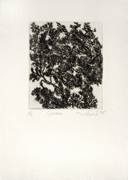 Cypress by Shinohara, Noriko, Etching