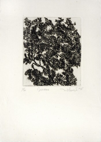 Cypress by Shinohara, Noriko, Etching