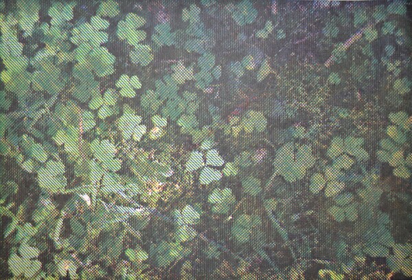 CMYK #3 by Yuasa, Katsutoshi, Woodblock Print
