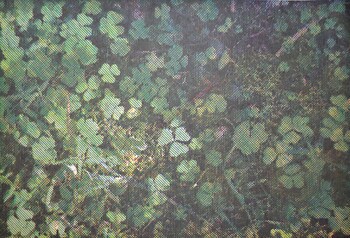 CMYK #3 by Yuasa, Katsutoshi, Woodblock Print