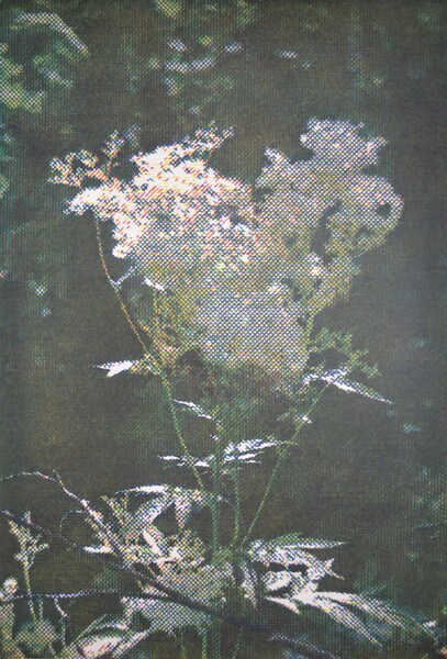 CMYK #2 by Yuasa, Katsutoshi, Woodblock Print
