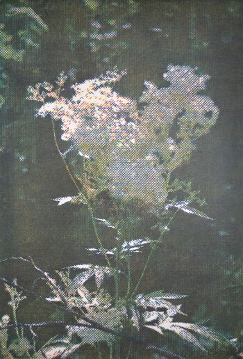CMYK #2 by Yuasa, Katsutoshi, Woodblock Print