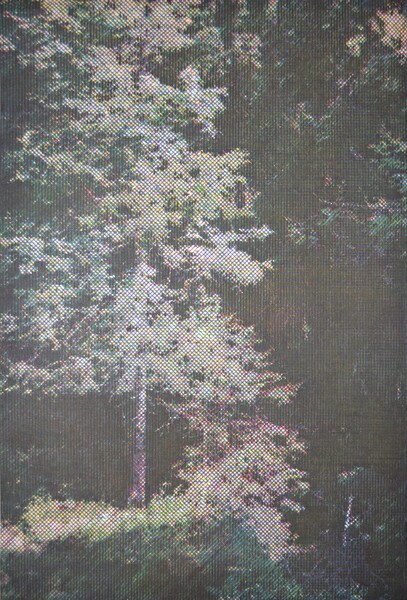 CMYK #4 by Yuasa, Katsutoshi, Woodblock Print