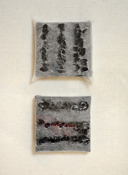 Double Truth by Tamai, Cyoko, Paperworks