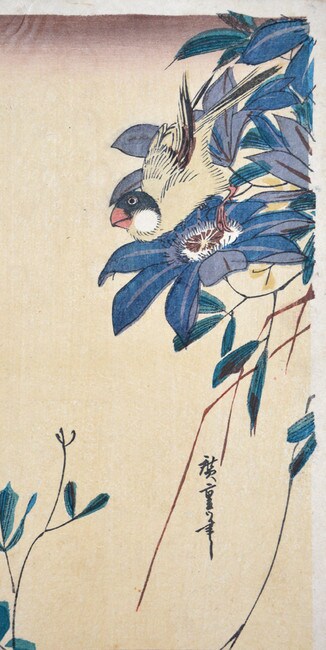 Java Sparrow by Hiroshige, Woodblock Print