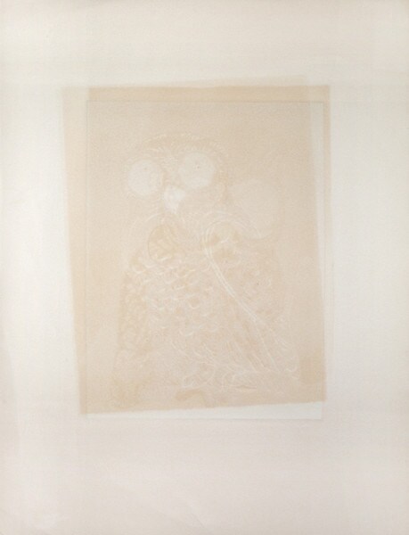 Red Owl by Oi, Motoi, Etching